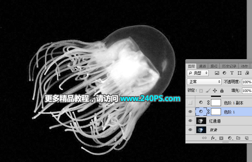 PS通道快速抠出透明的水母