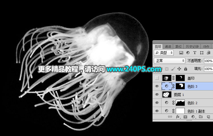 PS通道快速抠出透明的水母