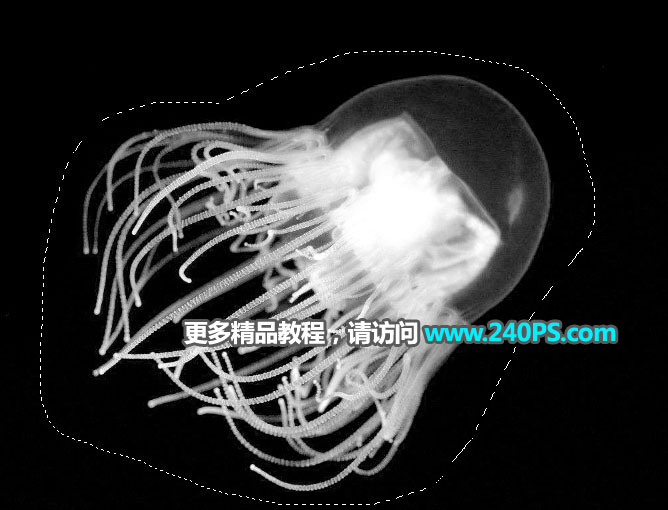 PS通道快速抠出透明的水母