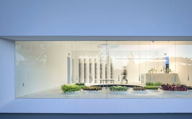 一位工业设计师在鸟巢前种了一片菜园，又在三里屯建了一座茶室