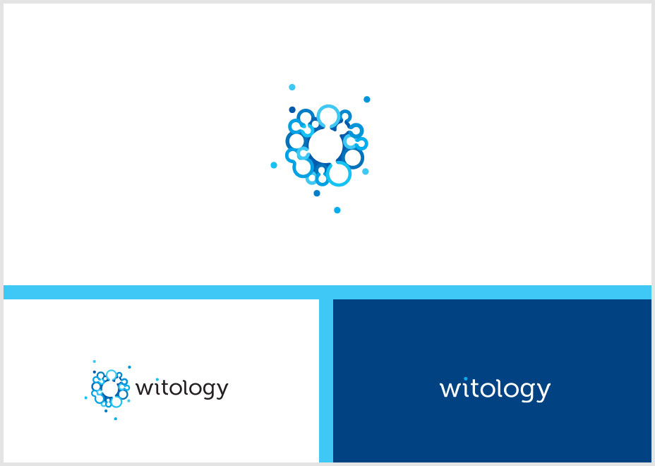 Witology-Crowd-Sourcing