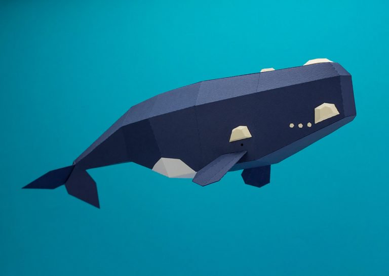 鲸鱼和海豚为主题的纸艺术品创作