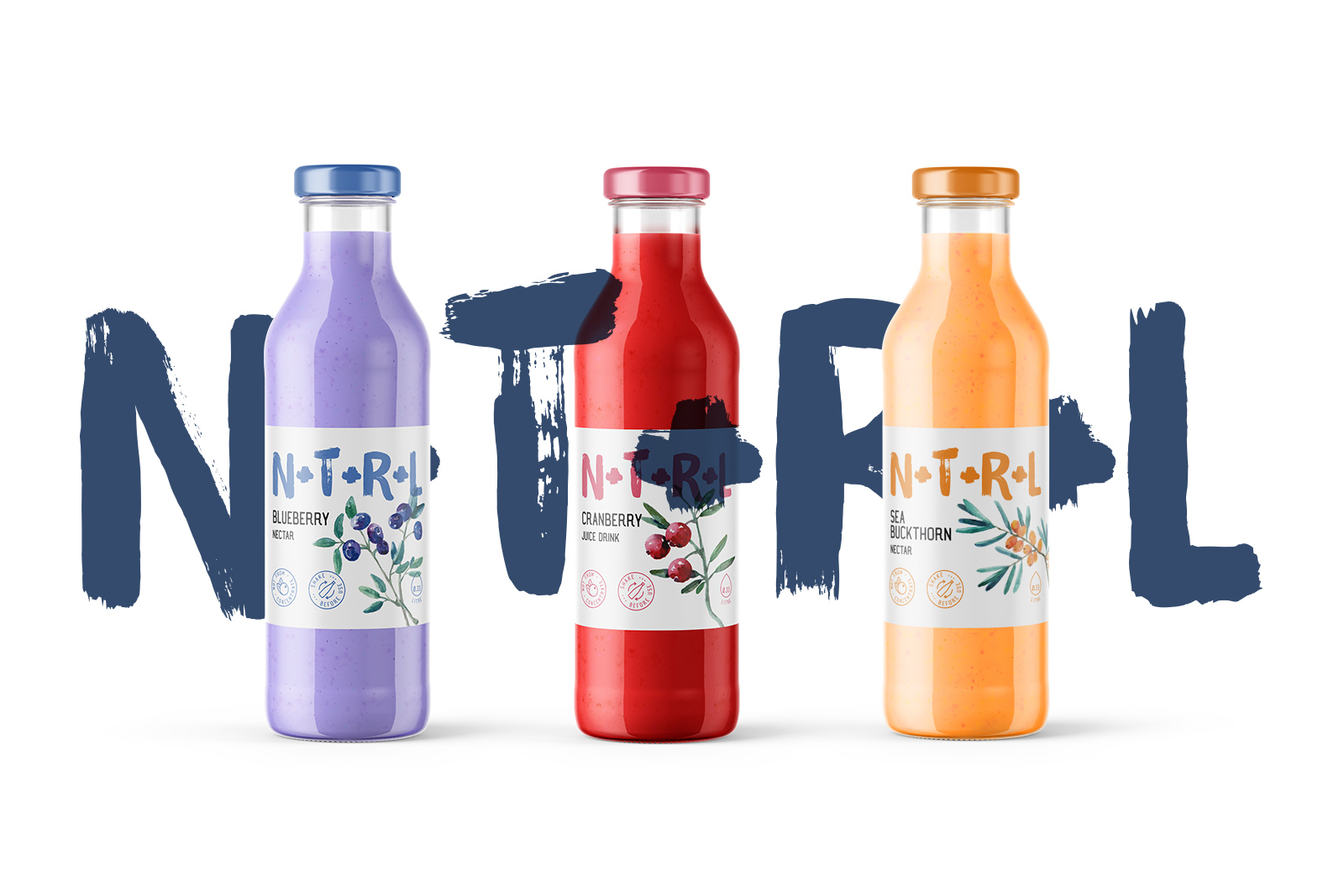 N+T+R+L果汁饮料包装设计