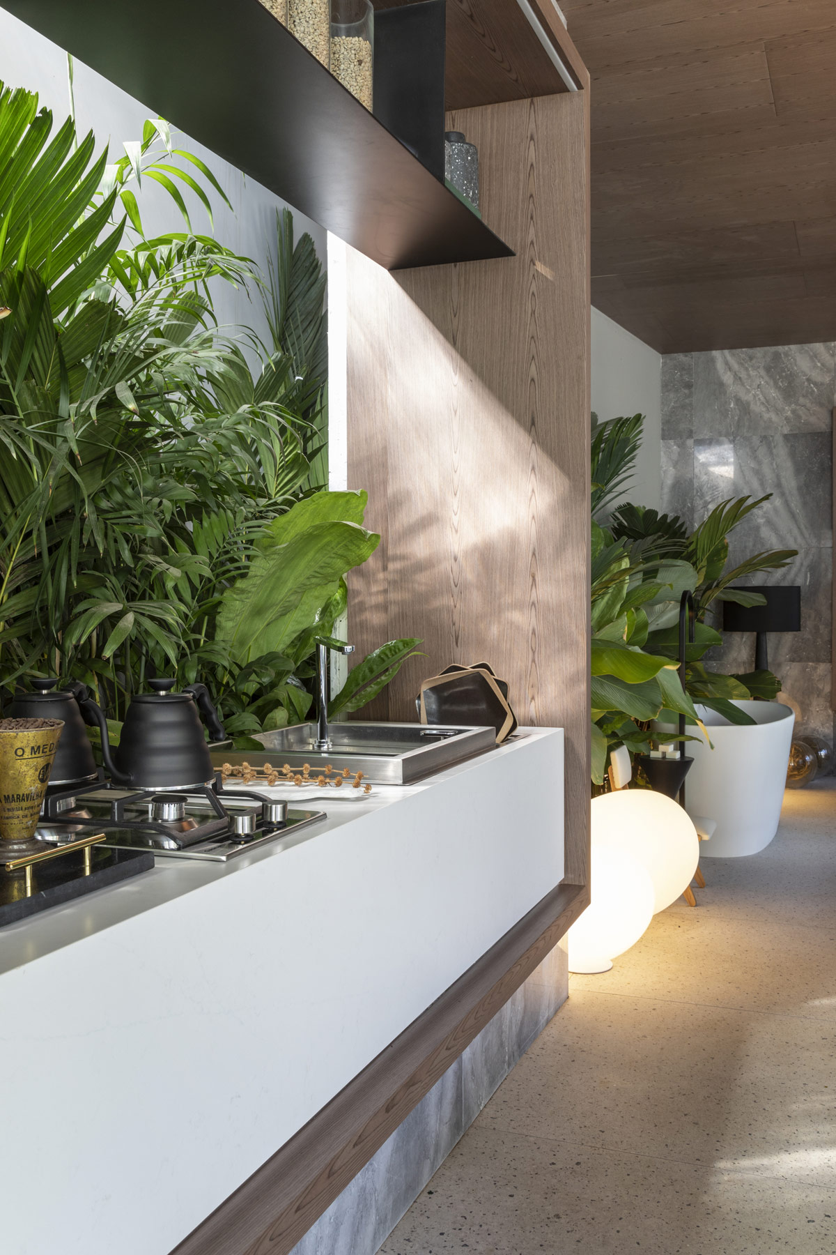 巴西热带丛林风格的开放式住宅设计