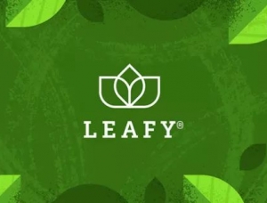 南非Leafy茶葉包裝設計