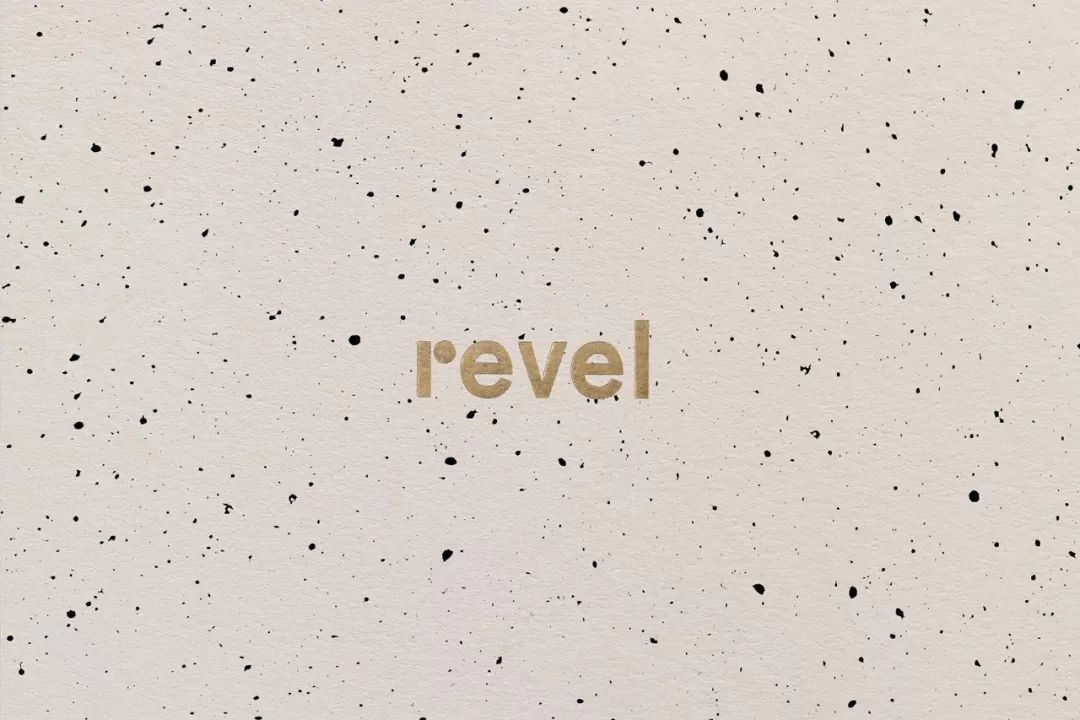 精致而低调的美学效果：多元化活动公司Revel品牌形象设计