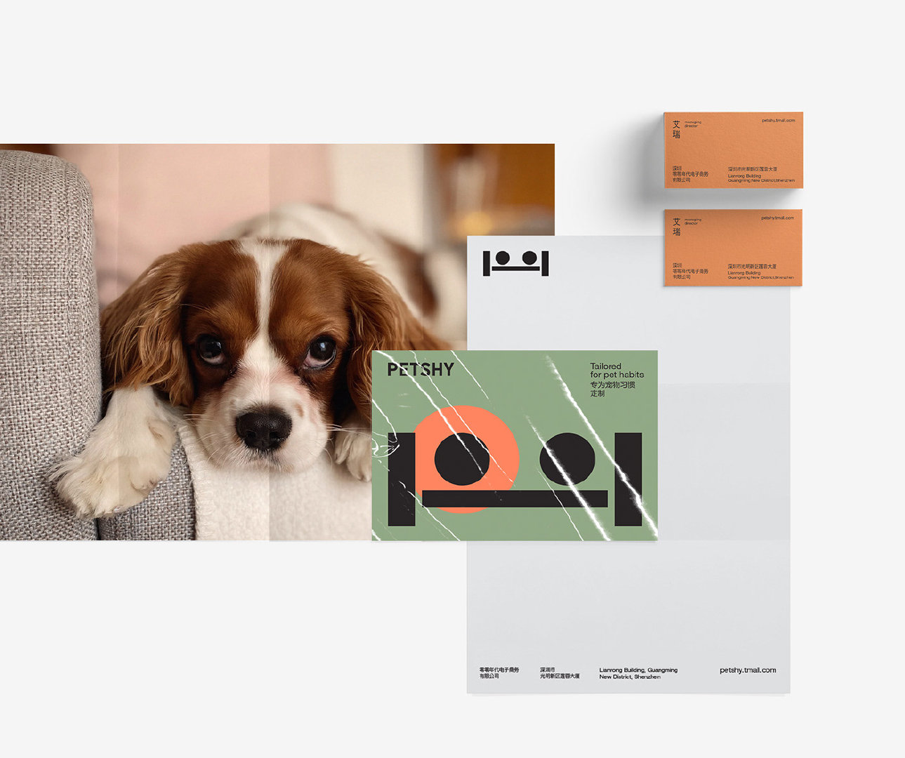 宠物用品品牌PETSHY视觉和包装设计