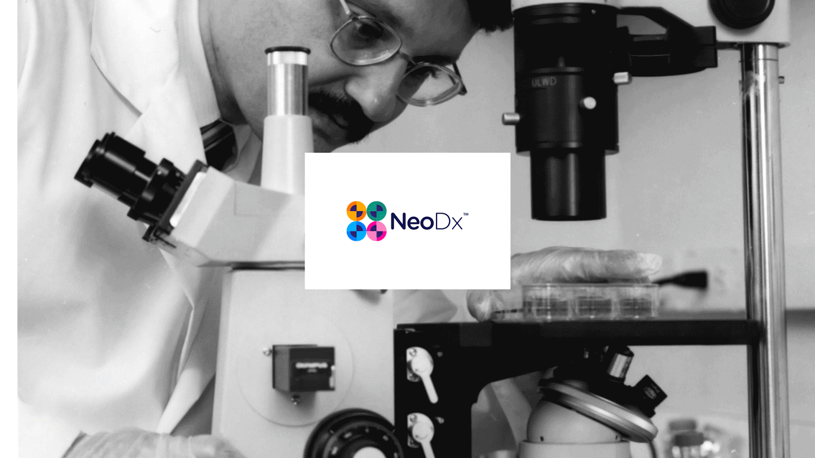 NeoDx生物科技品牌形象设计