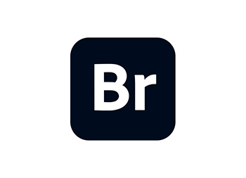 Adobe Bridge图标logo矢量图