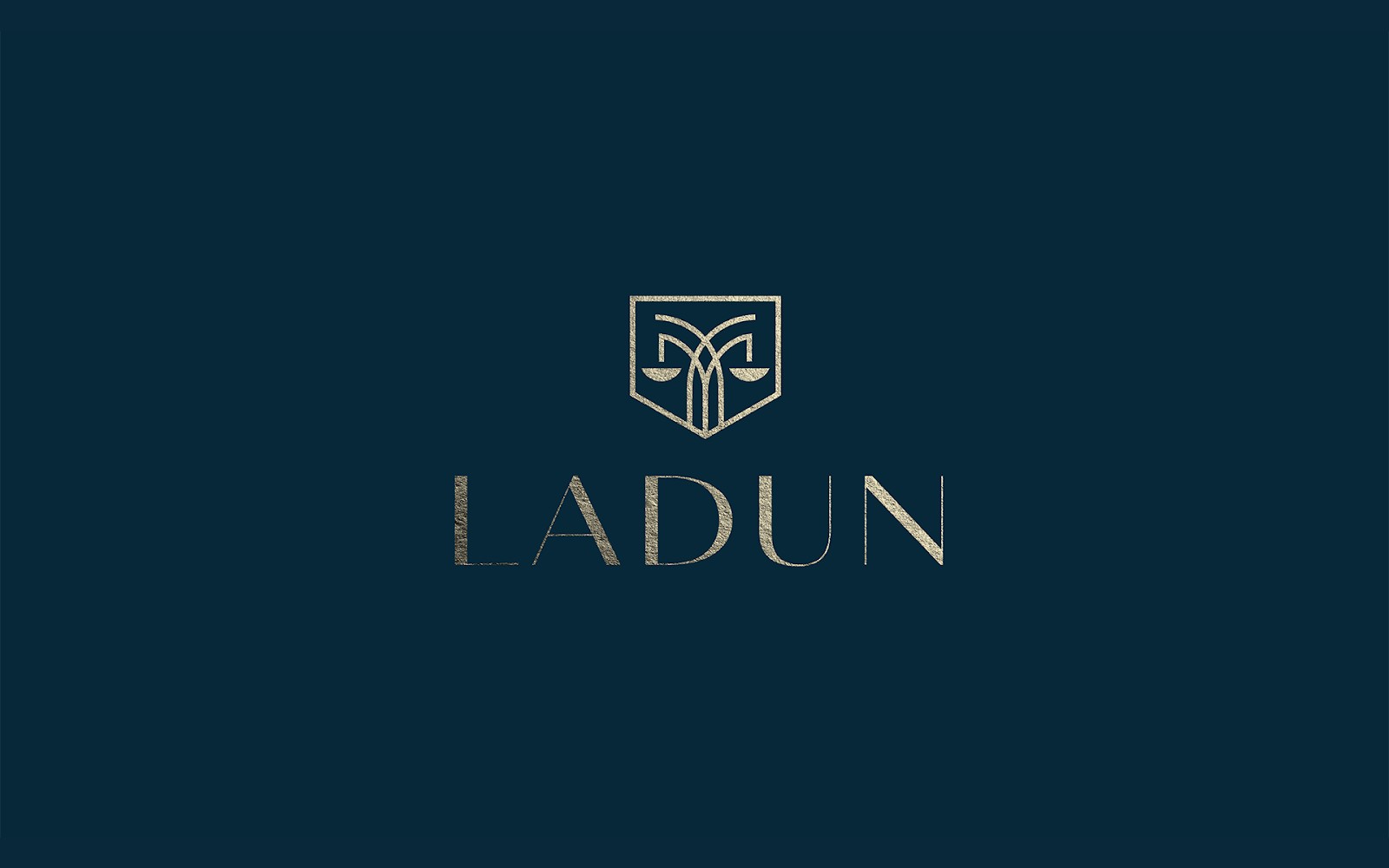 法律咨询平台Ladun视觉形象设计