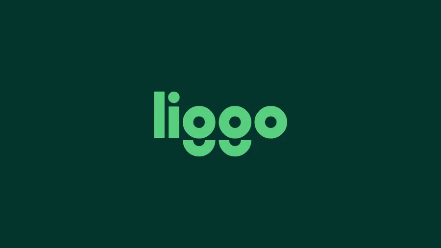 生产管理平台Liggo品牌视觉设计