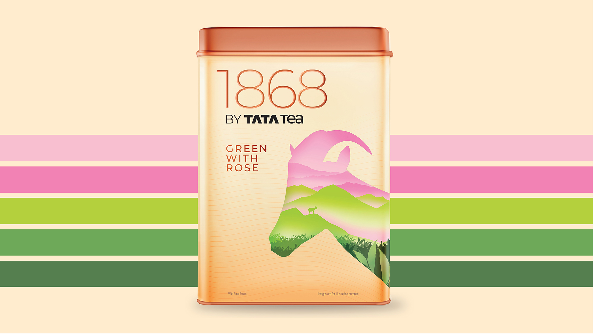 印度塔塔集团1868高端茶包装设计