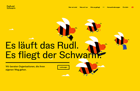 Rudl und Schwarm咨询公司网站设计