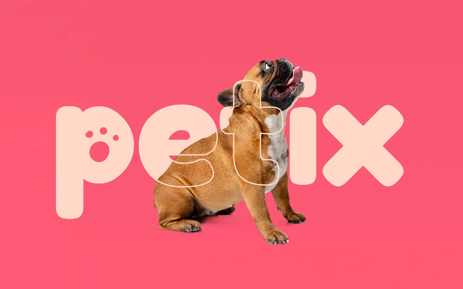 Petix宠物零食品牌包装设计