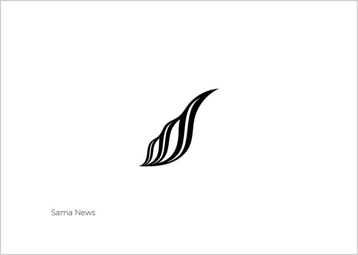 Baraa Studio标志设计作品