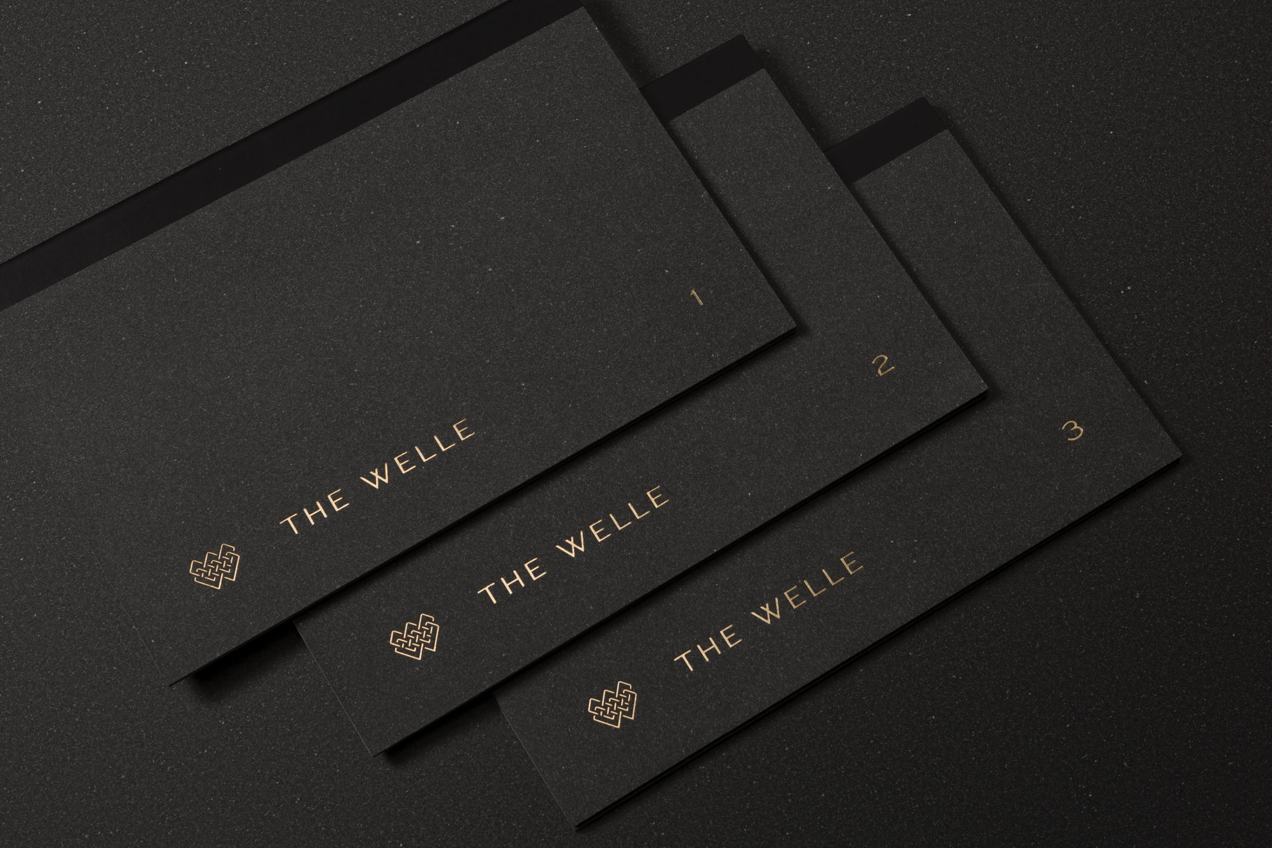The Welle地产项目画册设计