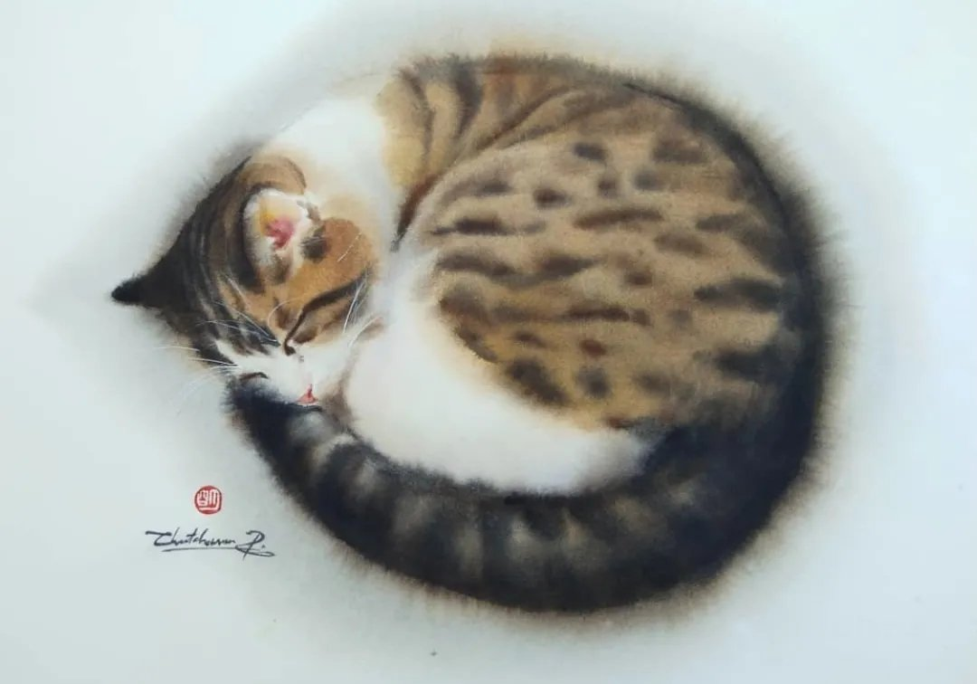 可爱的猫咪！Chatchawarn Ruksa手绘插画作品
