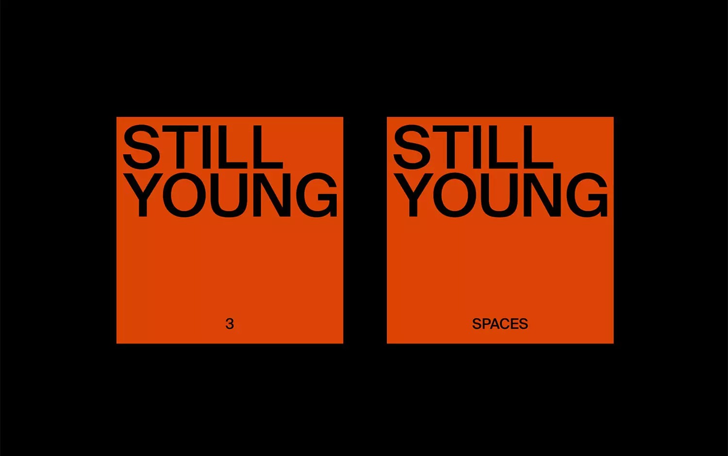 Still Young品牌视觉设计