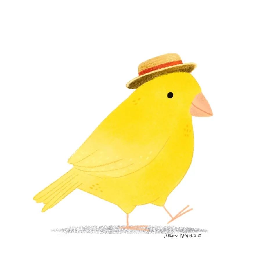 巴西Juliana Motzko可爱的鸟类插画