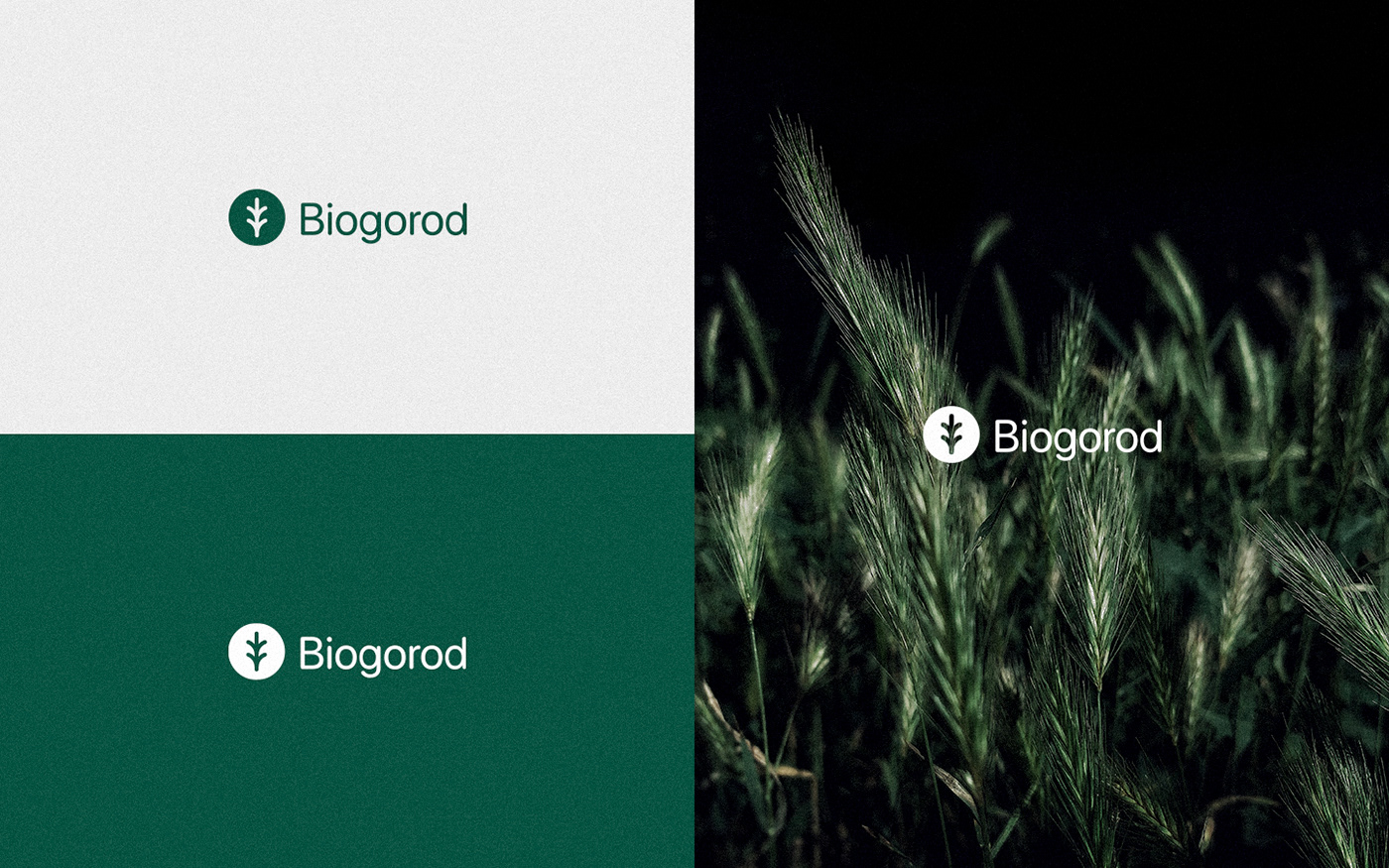 Biogorod农产品配送品牌VI设计