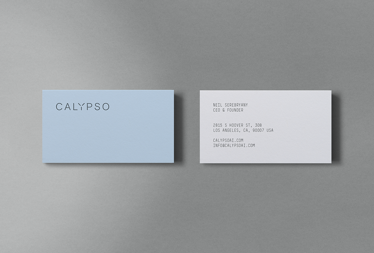 网络安全公司Calypso品牌视觉设计