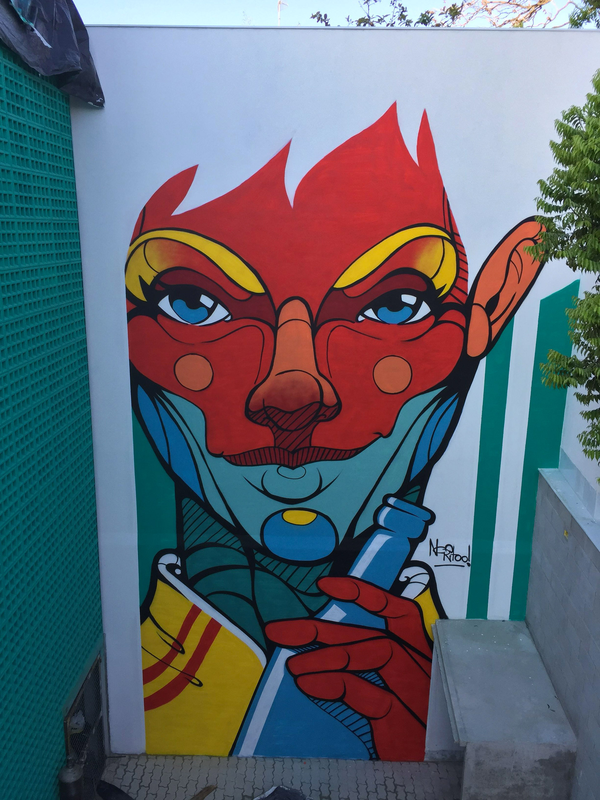 Negritoo街头艺术和壁画作品