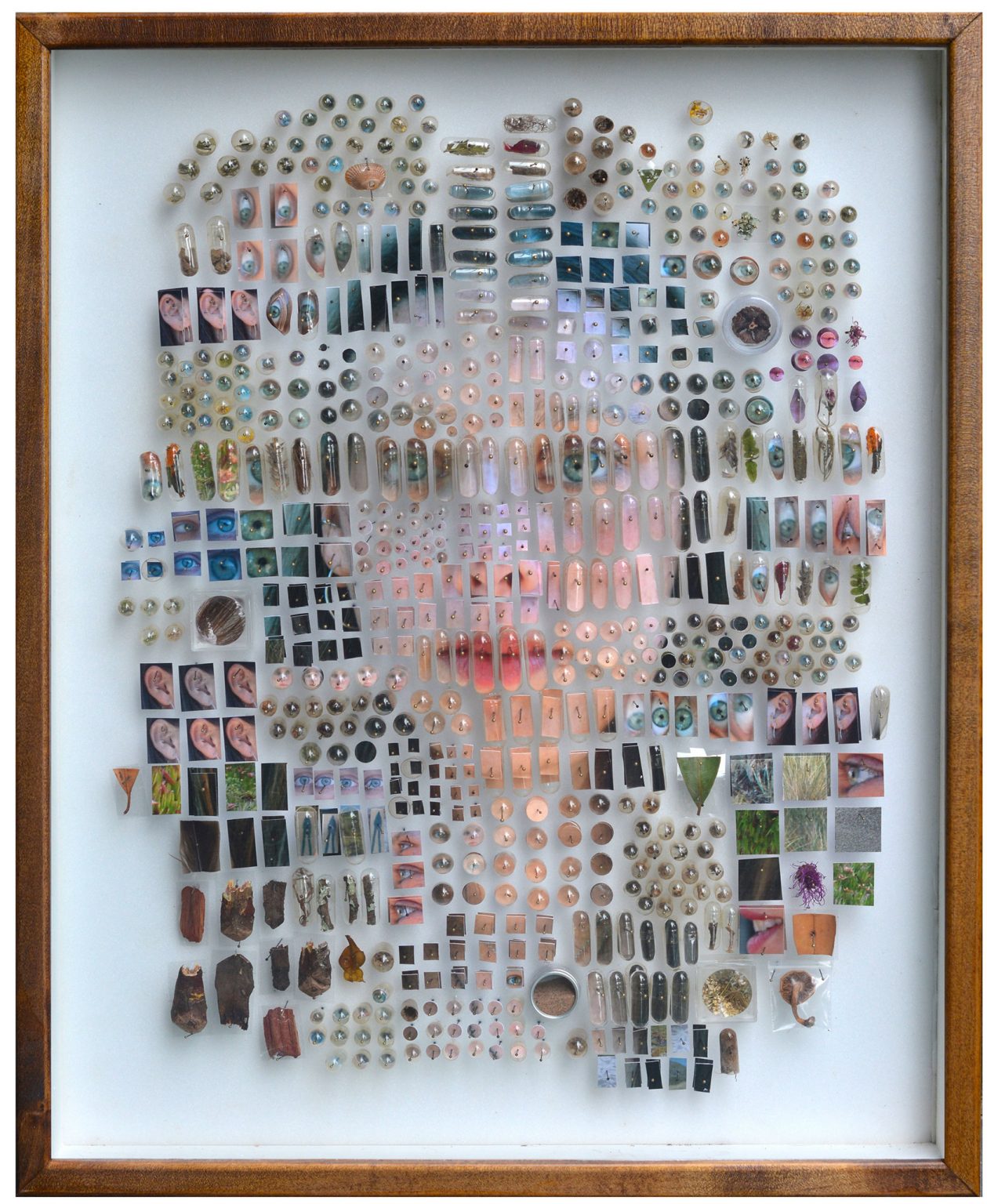 标本：Michael Mapes碎片拼贴的肖像艺术作品
