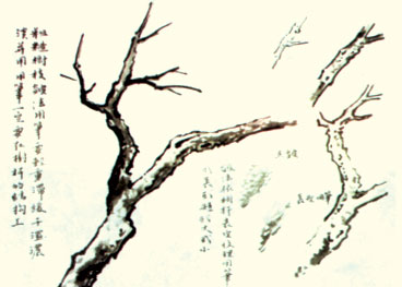 张伟民---中国工笔花鸟画技法