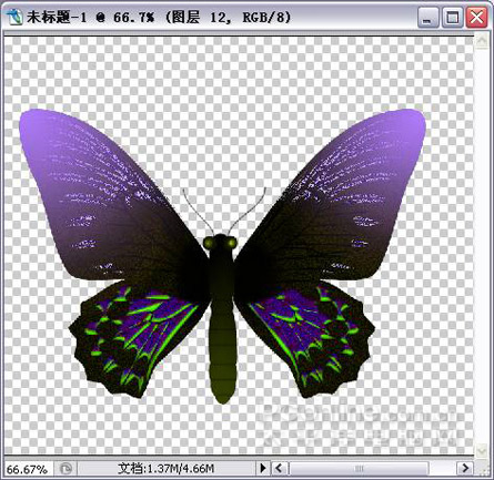 Photoshop绘制漂亮蝴蝶