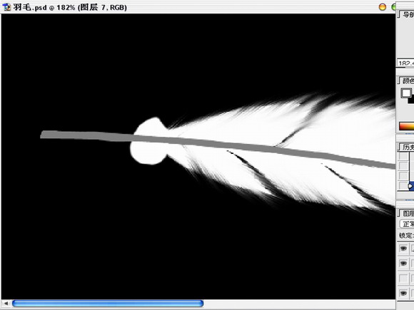 Photoshop绘制逼真的洁白羽毛
