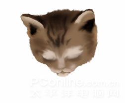 Photoshop鼠绘教程：可爱的小猫