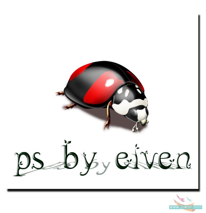 Photoshop鼠绘教程:一只逼真的瓢虫
