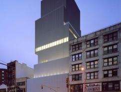 紐約新當代藝術博物館
