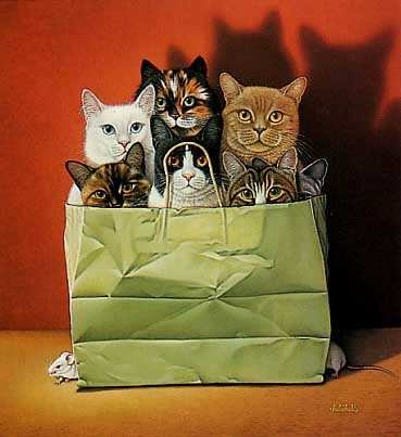 荷兰艺术家Braldt Bralds的猫插画作品