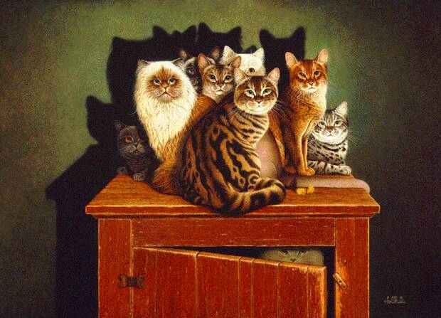 荷兰艺术家Braldt Bralds的猫插画作品