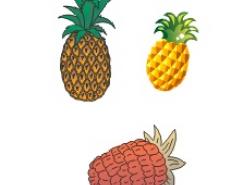 水果系列:菠萝矢量素材