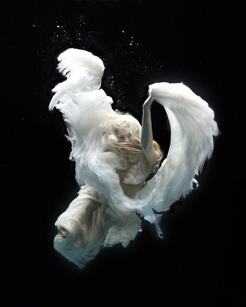 美仑美奂的水下摄影艺术