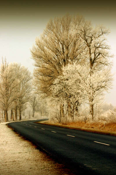 50张完美的冬天风景摄影