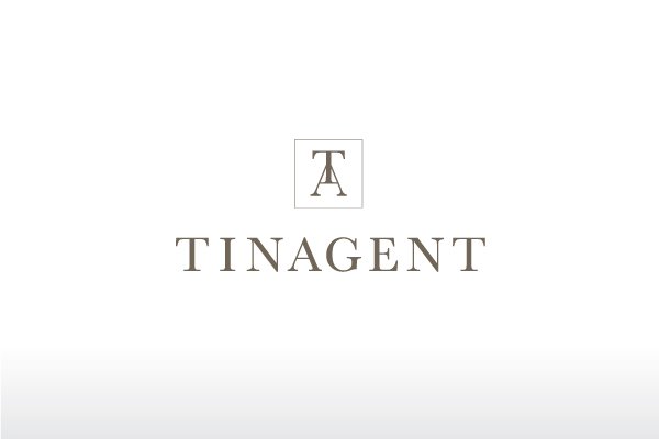 tinagent摄影机构VI欣赏