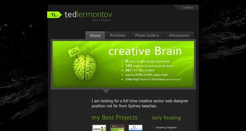 Beautiful Designs - Ted Lermontov : Web Designer