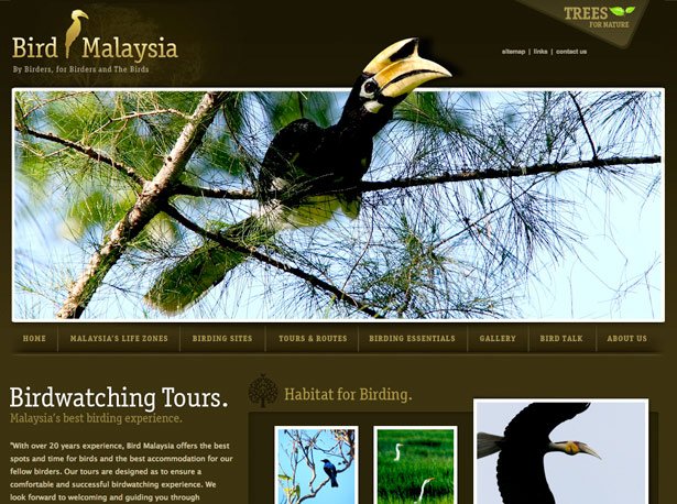 Bird of Malaysia
