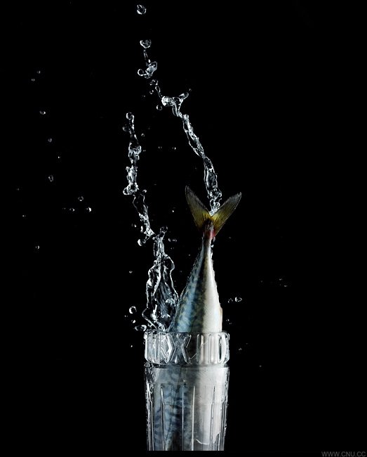 流体之美:Peter Schafrick流体液态摄影作品