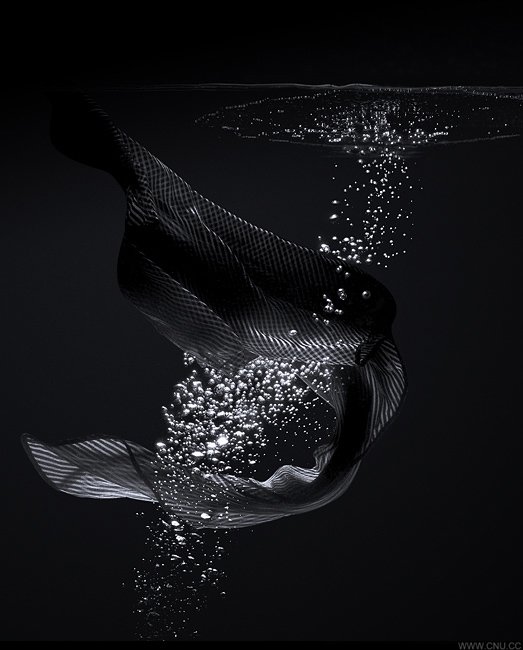 流体之美:Peter Schafrick流体液态摄影作品