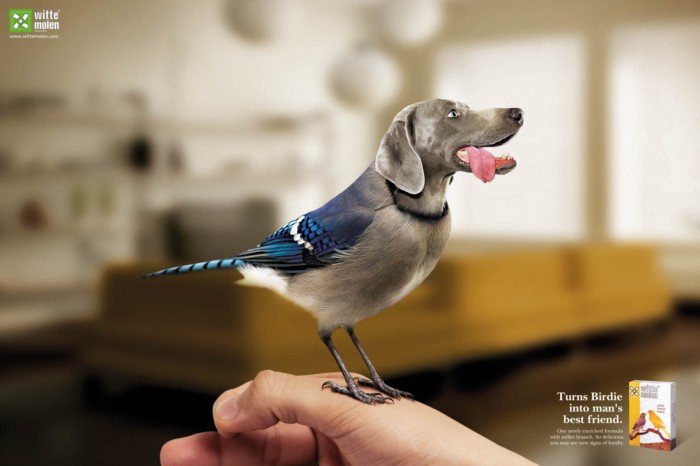 Witte Molen宠物粮食创意广告