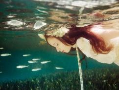ElenaKalis迷人的水下摄影作品