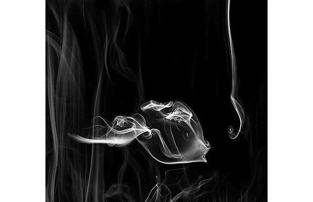 优雅曲线: 华丽的烟雾艺术摄影