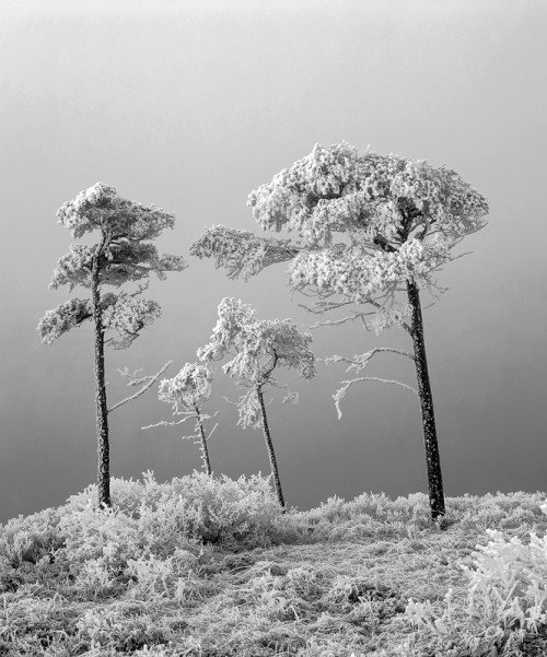 Ian Cameron漂亮的自然风光摄影