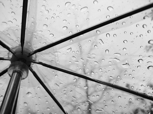 摄影欣赏：雨伞下的风景