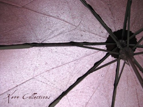 摄影欣赏：雨伞下的风景