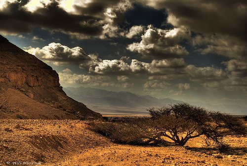 美丽的沙漠景观摄影欣赏